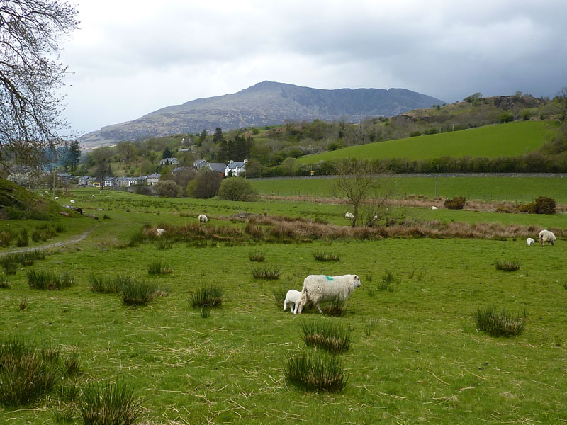 Moel Siabod